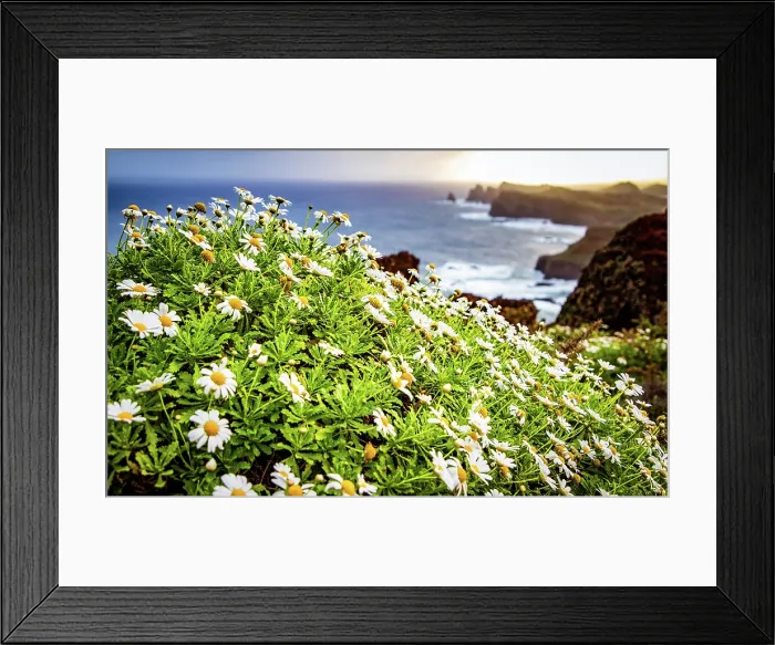 Framed Print : dramatic coastline with rocks of Madeira, Portugal Framed Print : dramatic coastline with rocks of Madeira, Portugal