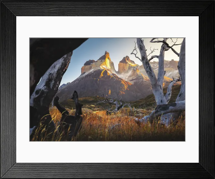 Framed Print : Cuernos del Paine framed in dead trees during sunrise, Torres del Paine NP, Ultima Esperanza, Region de Magallanes y de la Antartica Chilena, Patagonia, Chile Framed Print : Cuernos del Paine framed in dead trees during sunrise, Torres del Paine NP, Ultima Esperanza, Region de Magallanes y de la Antartica Chilena, Patagonia, Chile