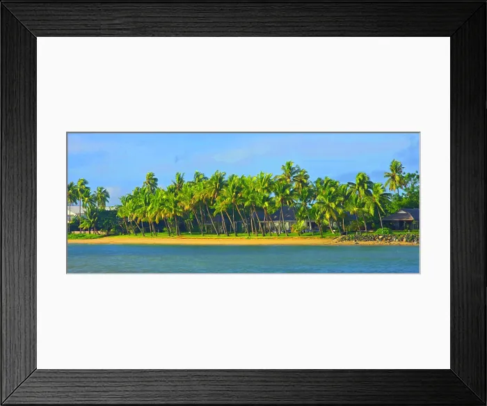 Framed Print : Palm trees, near Nadi, Viti Levu, Fiji, South Pacific Framed Print : Palm trees, near Nadi, Viti Levu, Fiji, South Pacific