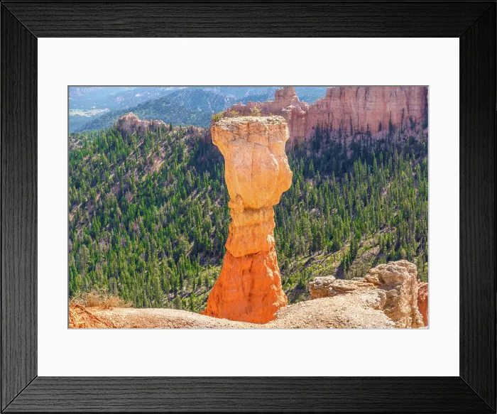Framed Print : Hoodoo known as The Hunter at Agua Canyon, Bryce Canyon National Park, Utah, USA Framed Print : Hoodoo known as The Hunter at Agua Canyon, Bryce Canyon National Park, Utah, USA