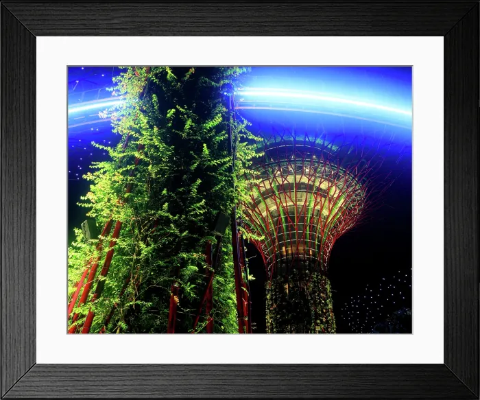 Framed Print : Lightshow, The Gardens by the Bay, Singapore Framed Print : Lightshow, The Gardens by the Bay, Singapore