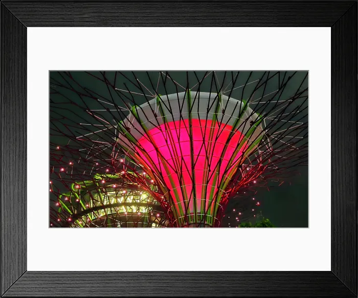 Framed Print : Gardens By The Bay light show, Singapore Framed Print : Gardens By The Bay light show, Singapore