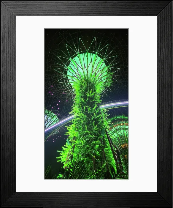 Framed Print : Lightshow, The Gardens by the Bay, Singapore Framed Print : Lightshow, The Gardens by the Bay, Singapore