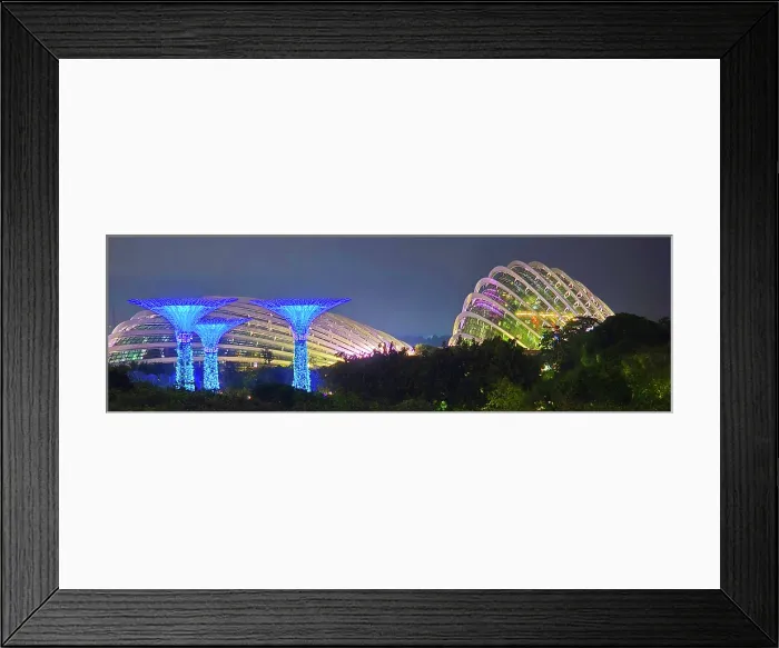 Framed Print : Lightshow, The Gardens by the Bay, Singapore Framed Print : Lightshow, The Gardens by the Bay, Singapore