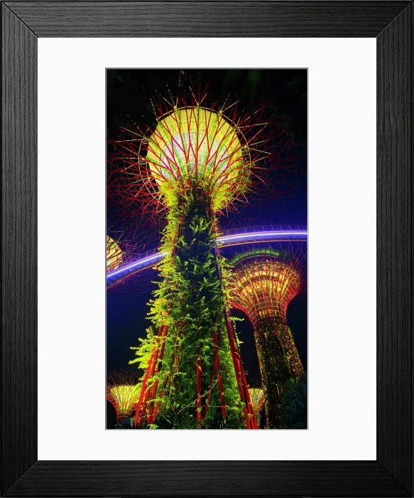 Framed Print : Lightshow, The Gardens by the Bay, Singapore Framed Print : Lightshow, The Gardens by the Bay, Singapore