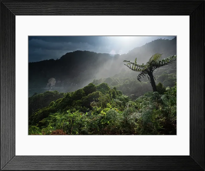 Framed Print : Sunlight Breaking Through Rainforest Canopy Over Misty Hills in Paparoa National Park, West Coast, New Zealand Framed Print : Sunlight Breaking Through Rainforest Canopy Over Misty Hills in Paparoa National Park, West Coast, New Zealand