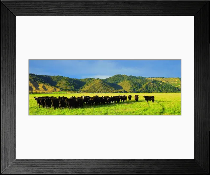 Framed Print : South Island, New Zealand