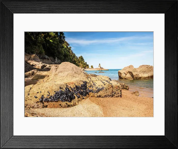 Framed Print : Golden Sand Beach with Mussel-Covered Rocks and Calm Bay Waters, Abel Tasman National Park, New Zealand Framed Print : Golden Sand Beach with Mussel-Covered Rocks and Calm Bay Waters, Abel Tasman National Park, New Zealand