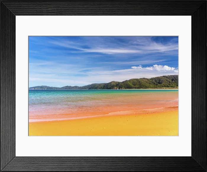 Framed Print : Bright Turquoise Sea and Vibrant Golden Sand at Torrent Bay, Abel Tasman National Park, New Zealand Framed Print : Bright Turquoise Sea and Vibrant Golden Sand at Torrent Bay, Abel Tasman National Park, New Zealand