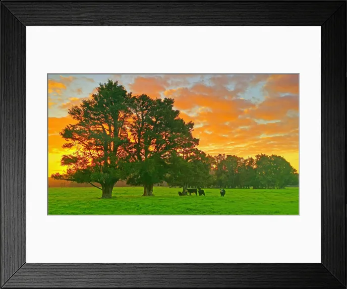 Framed Print : Landscape near Fox Glacier, South Island, New Zealand Framed Print : Landscape near Fox Glacier, South Island, New Zealand