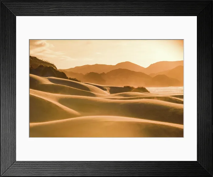 Framed Print : Golden Sand Dunes and Sunset-Hued Hills at Remote Wharariki Beach Near Cape Farewell, South Island, New Zealand Framed Print : Golden Sand Dunes and Sunset-Hued Hills at Remote Wharariki Beach Near Cape Farewell, South Island, New Zealand
