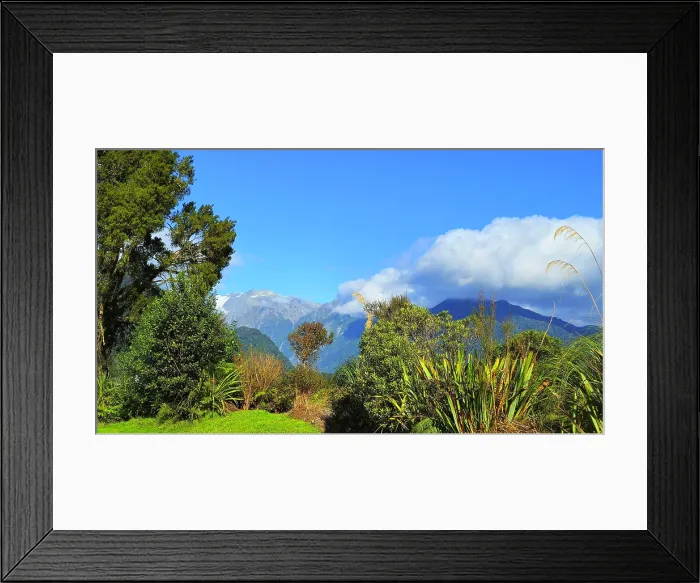 Framed Print : Fox Glacier, South Island, New Zealand Framed Print : Fox Glacier, South Island, New Zealand