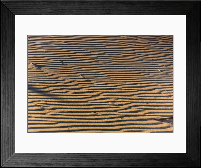 Framed Print : Close-Up of Parallel Wind Ripples in Dry Coastal Sand Dune at Sunset, New Zealand Framed Print : Close-Up of Parallel Wind Ripples in Dry Coastal Sand Dune at Sunset, New Zealand