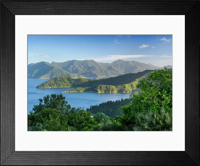 Framed Print : Forested Peninsula and Island Fragments Surrounded by Calm Blue Waters in Outer Queen Charlotte Sound Near French Pass, Marlborough Sounds, New Zealand Framed Print : Forested Peninsula and Island Fragments Surrounded by Calm Blue Waters in Outer Queen Charlotte Sound Near French Pass, Marlborough Sounds, New Zealand