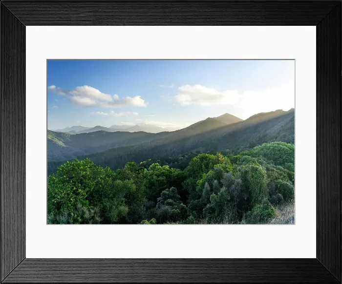 Framed Print : Dramatic Light Rays Breaking Through Evening Cloud Over Lush Hills Along French Pass Road, Marlborough Sounds, New Zealand Framed Print : Dramatic Light Rays Breaking Through Evening Cloud Over Lush Hills Along French Pass Road, Marlborough Sounds, New Zealand
