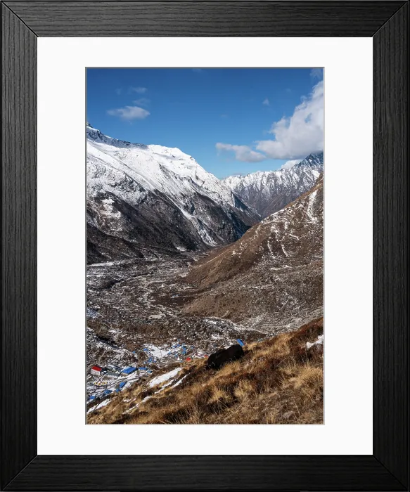 Framed Print : Yak perched above the village of Kyanjin Gompa, Nepal Framed Print : Yak perched above the village of Kyanjin Gompa, Nepal