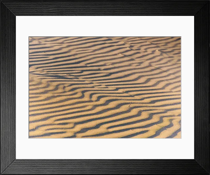 Framed Print : Golden Sand Dune Ripples in Soft Light at Wharariki Beach, South Island, New Zealand Framed Print : Golden Sand Dune Ripples in Soft Light at Wharariki Beach, South Island, New Zealand