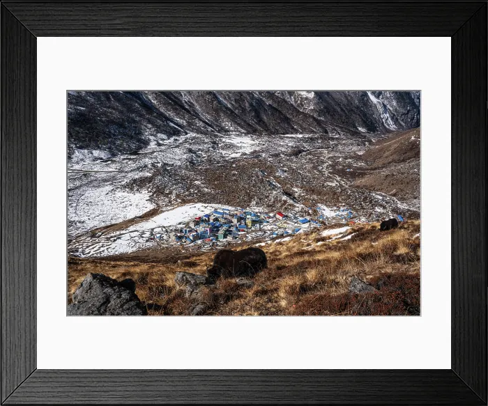 Framed Print : Solitary yak above Kyanjin Gompa settlement, with Himalayan ridges and snowy valley floor stretching through Langtang, Nepal Framed Print : Solitary yak above Kyanjin Gompa settlement, with Himalayan ridges and snowy valley floor stretching through Langtang, Nepal