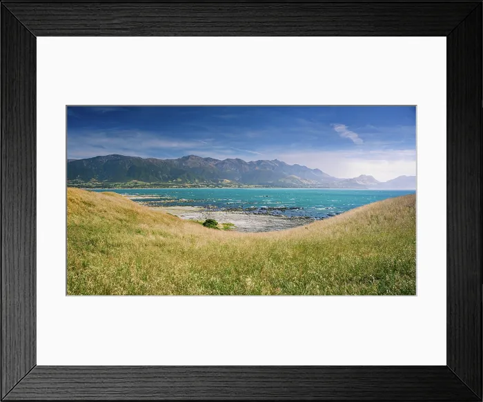 Framed Print : Golden Coastal Grass Sloping Toward Turquoise Sea with the Seaward Kaikoura Range in the Background, Kaikoura Peninsula, New Zealand Framed Print : Golden Coastal Grass Sloping Toward Turquoise Sea with the Seaward Kaikoura Range in the Background, Kaikoura Peninsula, New Zealand