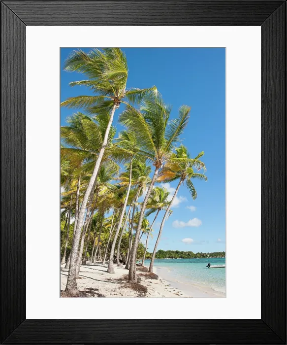 Framed Print : La Caravelle beach, Sainte-Anne, Grande-Terre, Guadeloupe Framed Print : La Caravelle beach, Sainte-Anne, Grande-Terre, Guadeloupe