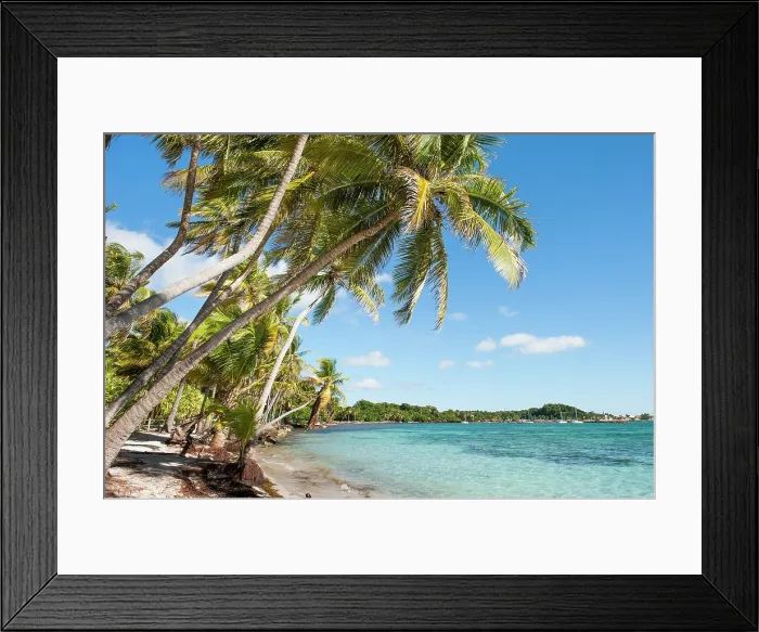 Framed Print : La Caravelle beach, Sainte-Anne, Grande-Terre, Guadeloupe Framed Print : La Caravelle beach, Sainte-Anne, Grande-Terre, Guadeloupe