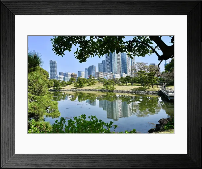 Framed Print : Buildings reflecting on lake in Hamarikyu Gardens Framed Print : Buildings reflecting on lake in Hamarikyu Gardens