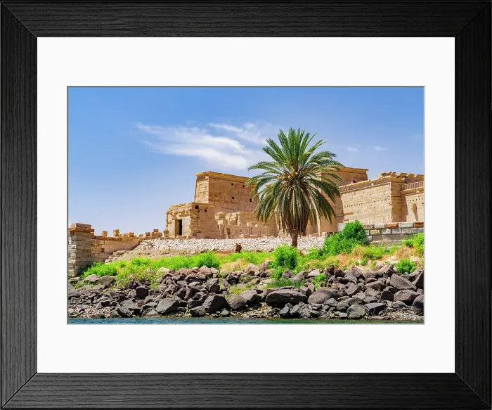Framed Print : Ancient Temple of Philae surrounded by palm trees, Aswan, Egypt Framed Print : Ancient Temple of Philae surrounded by palm trees, Aswan, Egypt