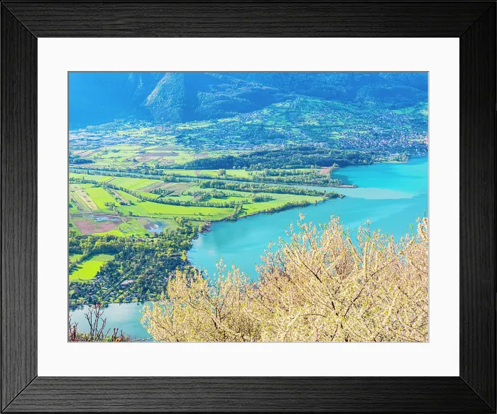 Framed Print : Cherry trees in bloom overlooking river Adda mouth, Lake Como, Lombardy, Italy Framed Print : Cherry trees in bloom overlooking river Adda mouth, Lake Como, Lombardy, Italy