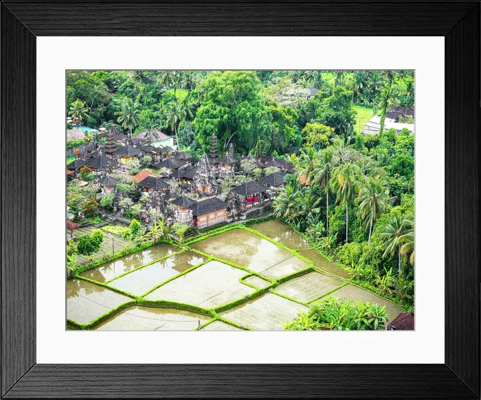 Framed Print : Old pagodas of a temple surrounding the paddy fields in a tropical rainforest, aerial view, Ubud, Bali, Indonesia Framed Print : Old pagodas of a temple surrounding the paddy fields in a tropical rainforest, aerial view, Ubud, Bali, Indonesia