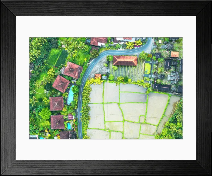 Framed Print : Aerial view of a winding road through paddy fields and traditional rural houses, Ubud, Bali, Indonesia Framed Print : Aerial view of a winding road through paddy fields and traditional rural houses, Ubud, Bali, Indonesia
