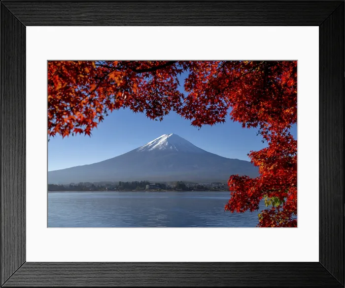 Framed Print : Volcano Fuji or Fudschijama with snow at the summit, 3776 m, with Lake Kawaguchi, framed by red autumn leaves, near Fujikawaguchiko, Yamanashi Prefecture, Honshu Island, Japan Framed Print : Volcano Fuji or Fudschijama with snow at the summit, 3776 m, with Lake Kawaguchi, framed by red autumn leaves, near Fujikawaguchiko, Yamanashi Prefecture, Honshu Island, Japan