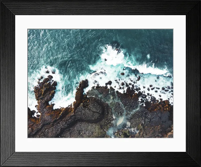 Framed Print : Atlantic puffins nesting in Iceland on the cliffs by the ocean. Autumn, 2022 Framed Print : Atlantic puffins nesting in Iceland on the cliffs by the ocean. Autumn, 2022