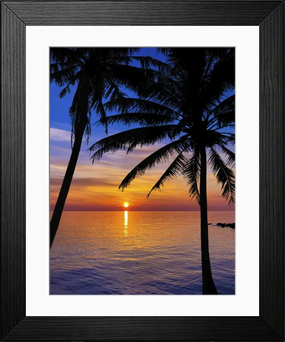 Framed Print : Silhouette of palm trees Beautiful sunset on the tropical sea beach Framed Print : Silhouette of palm trees Beautiful sunset on the tropical sea beach