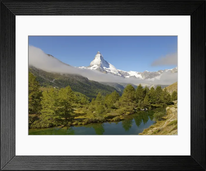 Framed Print : Larches (Larix) at Lake Grindjisee, in front of the Matterhorn, Valais Alps, Canton of Valais, Switzerland Framed Print : Larches (Larix) at Lake Grindjisee, in front of the Matterhorn, Valais Alps, Canton of Valais, Switzerland