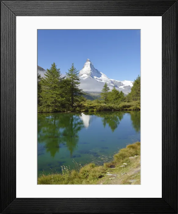 Framed Print : Larches (Larix) at Lake Grindjisee, in front of the Matterhorn, Valais Alps, Canton of Valais, Switzerland