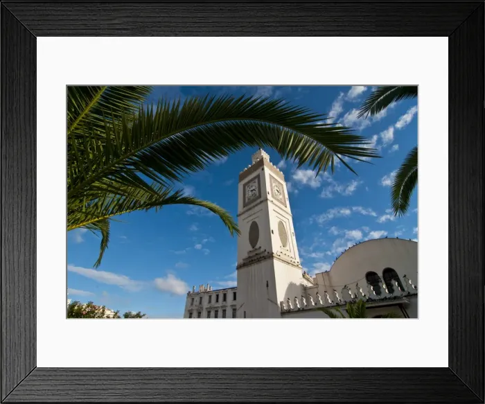 Framed Print : Djamaa El Djedid (Mosque of the Fisherman) on Place Port Said, Algiers Framed Print : Djamaa El Djedid (Mosque of the Fisherman) on Place Port Said, Algiers