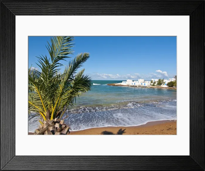 Framed Print : Palm and beach at beach resort on the Mediterranean coast near Tipasa, Algeria Framed Print : Palm and beach at beach resort on the Mediterranean coast near Tipasa, Algeria