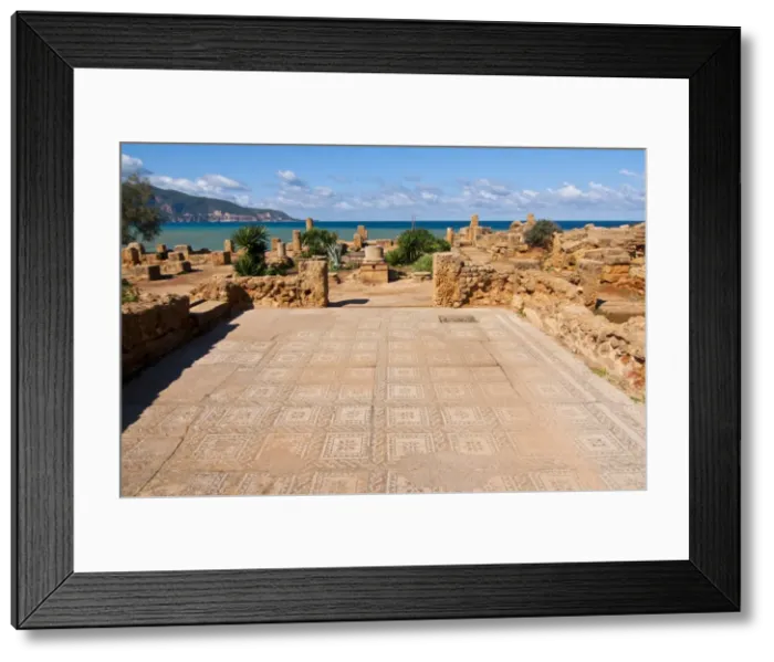 Framed Print : Mosaics at the Roman ruins of Tipasa, UNESCO World Heritage Site, on the Algerian coast Framed Print : Mosaics at the Roman ruins of Tipasa, UNESCO World Heritage Site, on the Algerian coast