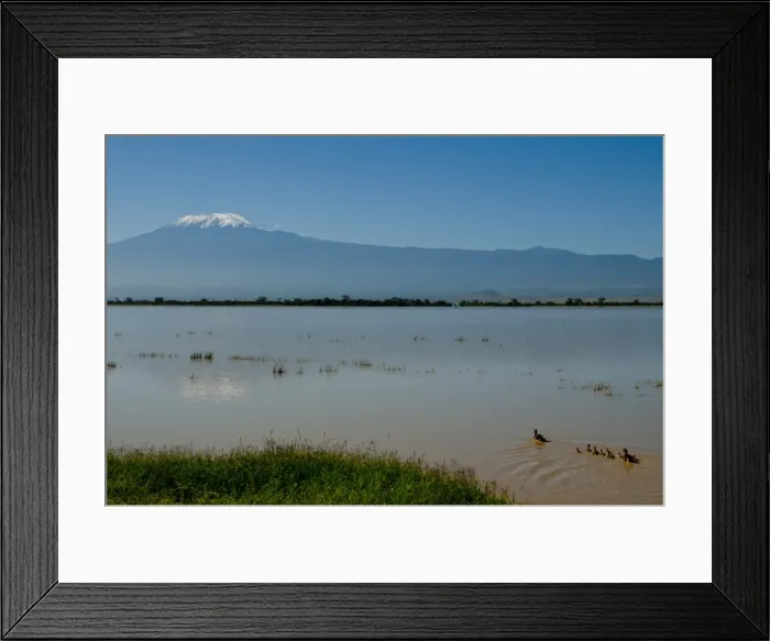 Framed Print : Amboseli National Park and Mount Kilimanjaro, Kenya, East Africa, Africa Framed Print : Amboseli National Park and Mount Kilimanjaro, Kenya, East Africa, Africa