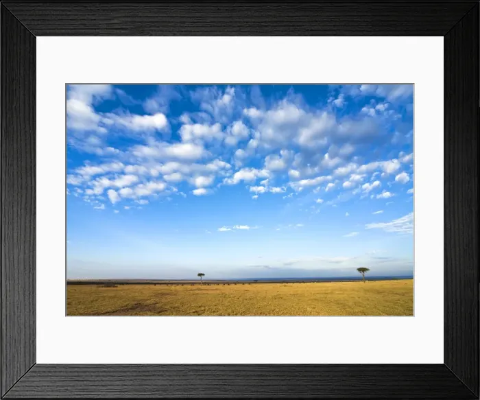 Framed Print : The Bush, Masai Mara National Reserve, Kenya, East Africa, Africa Framed Print : The Bush, Masai Mara National Reserve, Kenya, East Africa, Africa