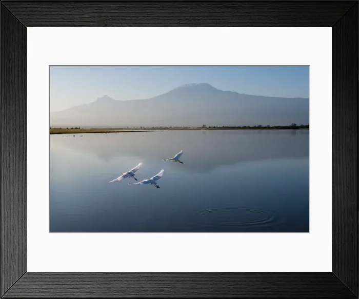 Framed Print : Amboseli National Park and Mount Kilimanjaro, Kenya, East Africa, Africa Framed Print : Amboseli National Park and Mount Kilimanjaro, Kenya, East Africa, Africa