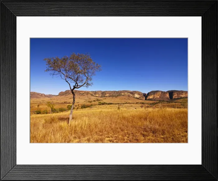Framed Print : Isalo National Park, Madagascar, Africa Framed Print : Isalo National Park, Madagascar, Africa