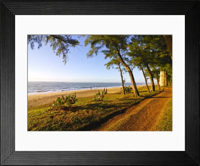 Framed Print : Artifical planted tree line, Manakara, Madagascar, Indian Ocean, Africa Framed Print : Artifical planted tree line, Manakara, Madagascar, Indian Ocean, Africa
