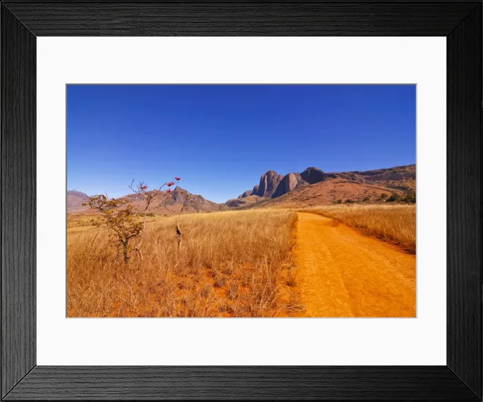 Framed Print : Road leading to granite rocks in the Andringitra National Park, Madagascar, Africa Framed Print : Road leading to granite rocks in the Andringitra National Park, Madagascar, Africa
