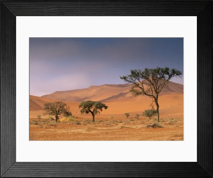 Framed Print : Red sand dunes rising up to 300m, Sossusvlei valley in Namib-Naukluft Park Framed Print : Red sand dunes rising up to 300m, Sossusvlei valley in Namib-Naukluft Park