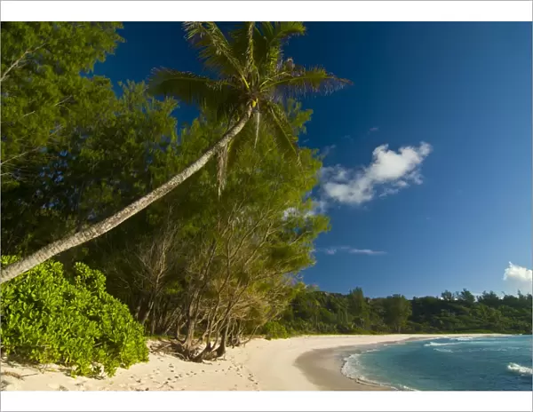 Beach of Anse Cocos, La Digue, Seychelles, Indian Ocean, Africa