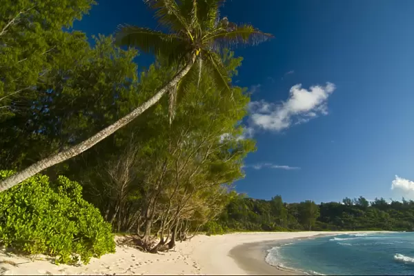 Beach of Anse Cocos, La Digue, Seychelles, Indian Ocean, Africa