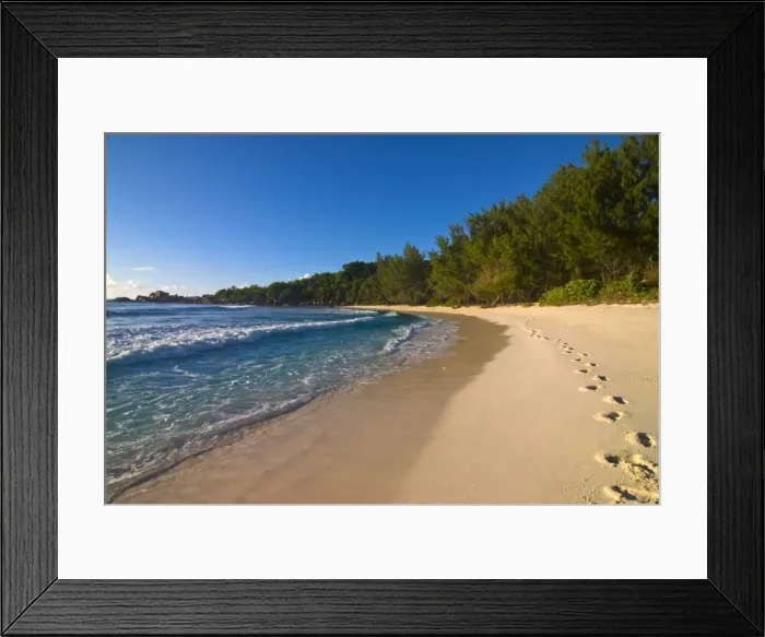 Framed Print : Beach Anse Cocos, La Digue, Seychelles, Indian Ocean, Africa Framed Print : Beach Anse Cocos, La Digue, Seychelles, Indian Ocean, Africa