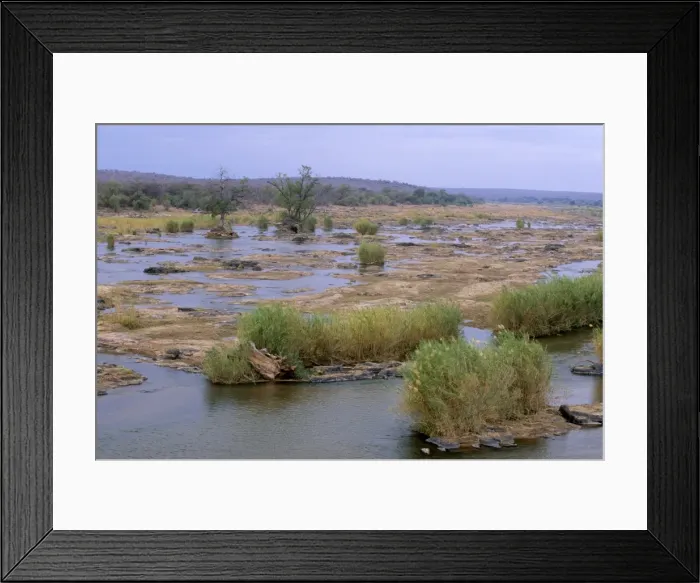 Framed Print : Olifants river, Kruger National Park, South Africa, Africa Framed Print : Olifants river, Kruger National Park, South Africa, Africa