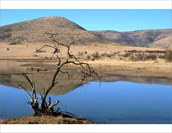 Mankwe Dam, central lake in the Pilanesberg National Park, North West Province